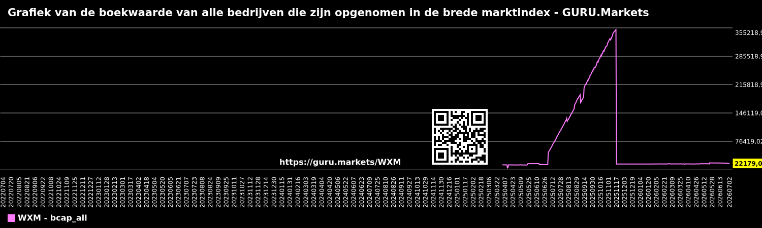 Grafiek van de boekwaarde van alle bedrijven die zijn opgenomen in de brede marktindex - GURU.Markets